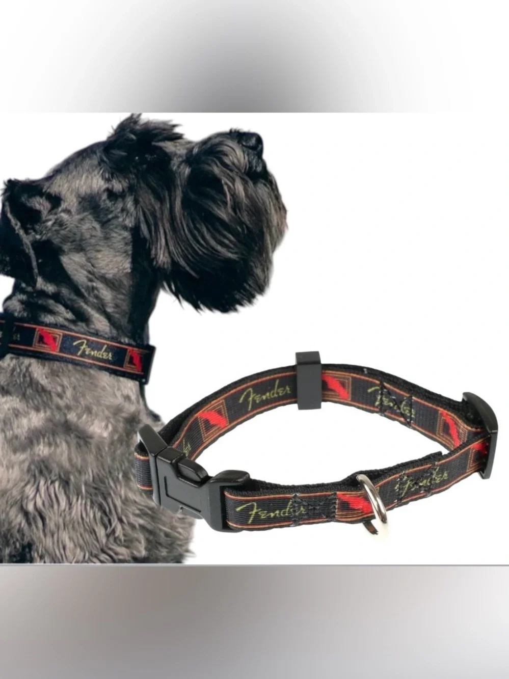 Fender Dog Collar
